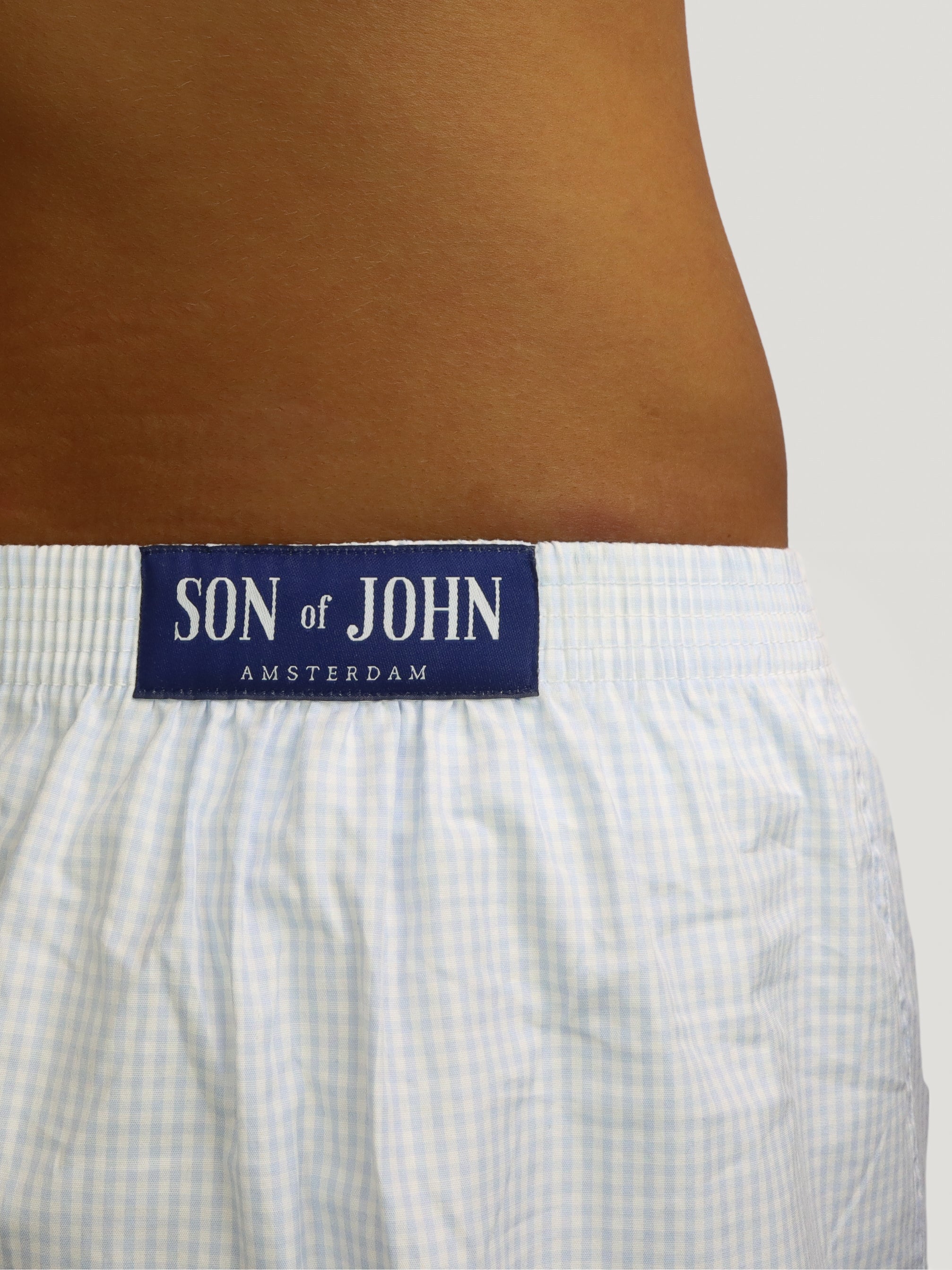 Sky Gingham