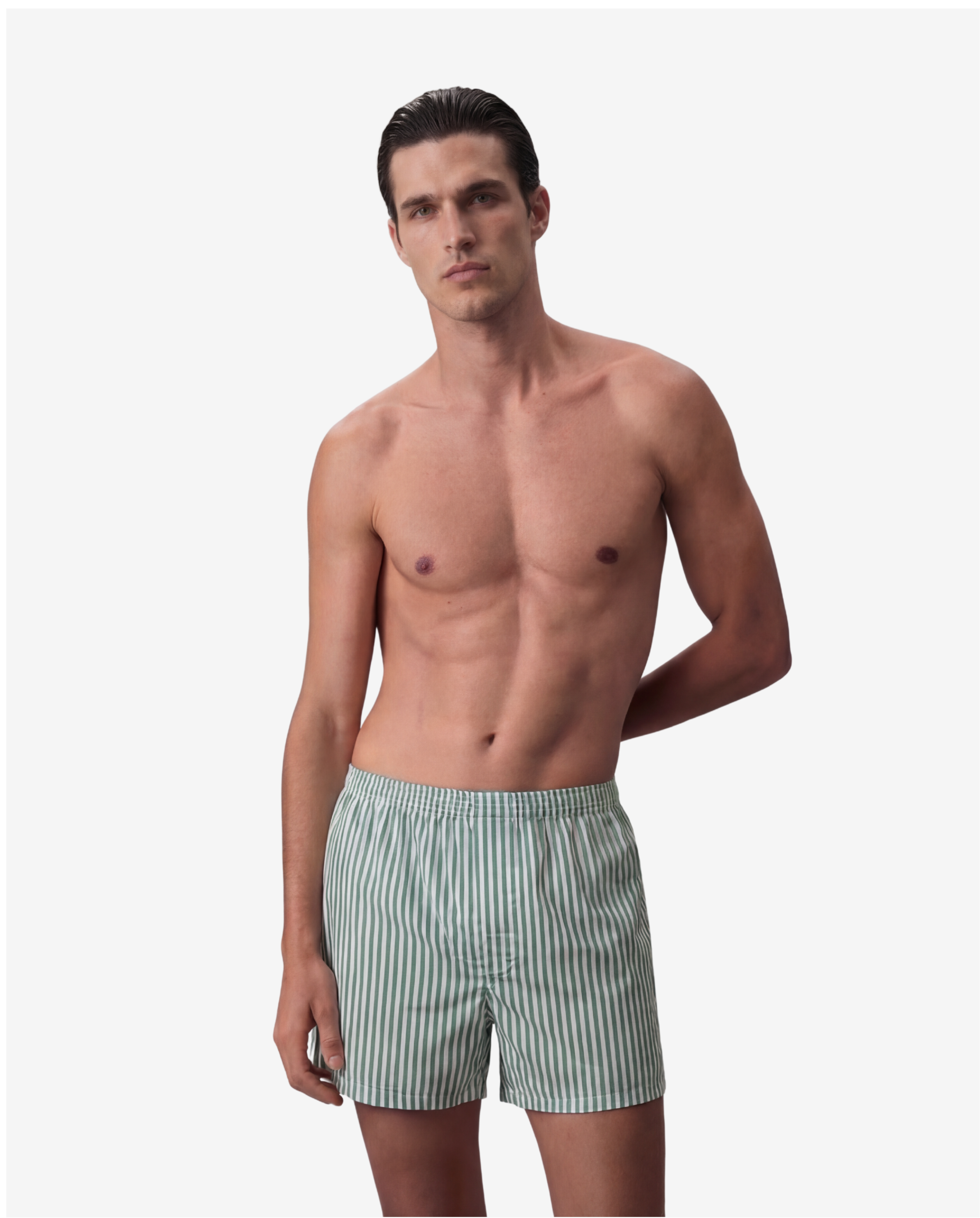 EVERGREEN STRIPE