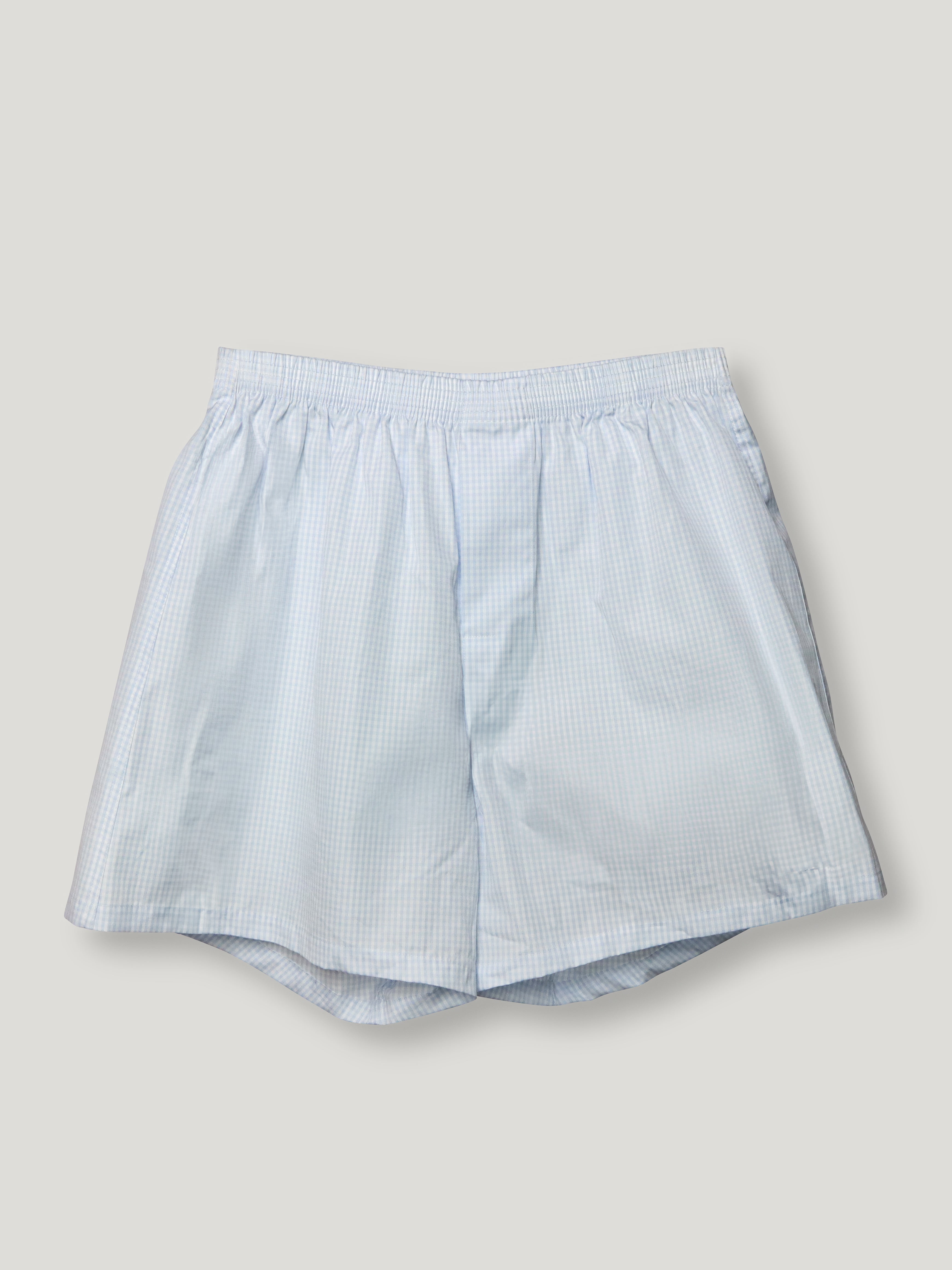 Sky Gingham